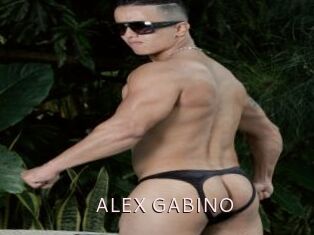 ALEX_GABINO