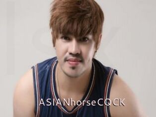 ASIANhorseCQCK