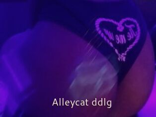 Alleycat_ddlg