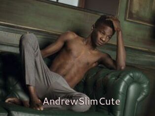 AndrewSlimCute