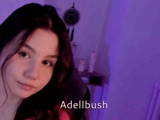 Adellbush