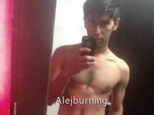 Alejburning