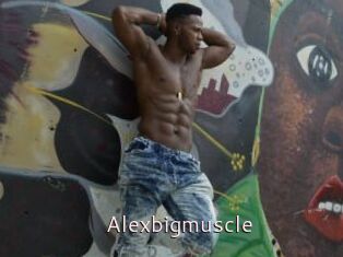 Alexbigmuscle