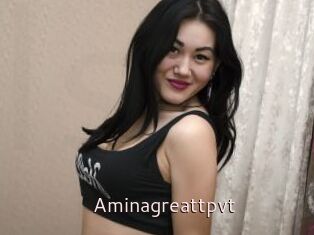 Aminagreattpvt