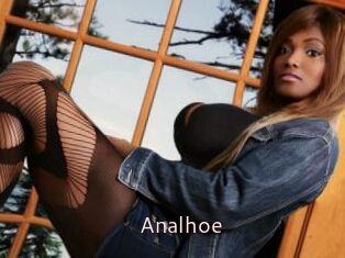 Analhoe