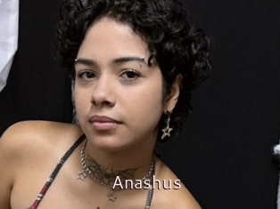 Anashus