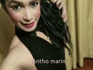 Antho_marin