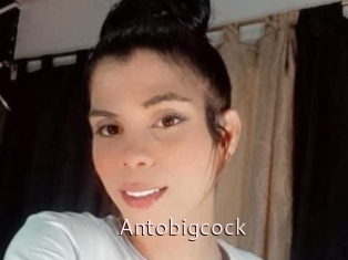 Antobigcock