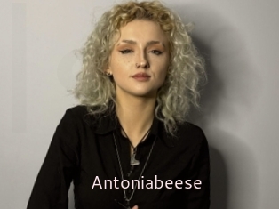 Antoniabeese