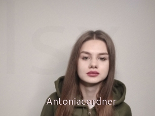 Antoniacordner