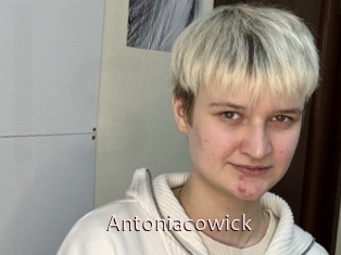 Antoniacowick