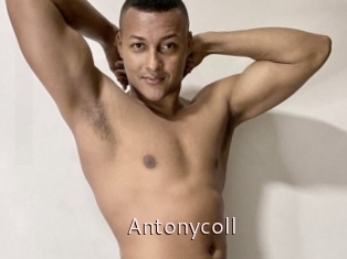 Antonycoll