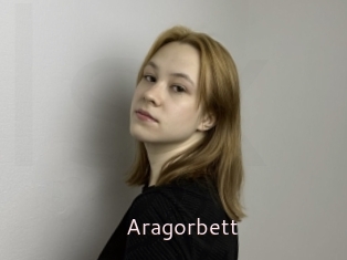 Aragorbett