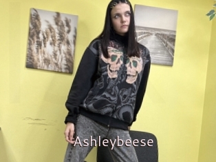 Ashleybeese