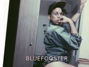 BLUEFOOSTER