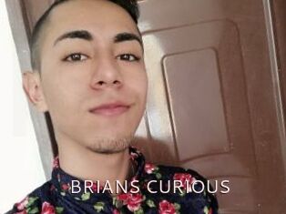 BRIANS_CURIOUS