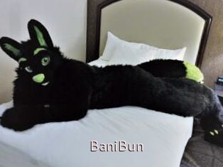 BaniBun