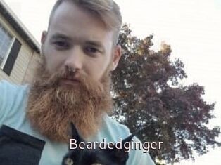 Beardedginger