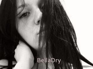 BellaDry