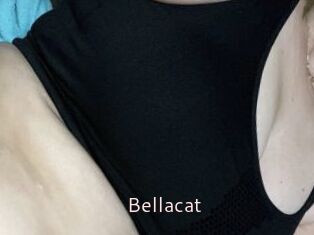 Bella_cat