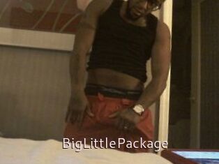 BigLittlePackage