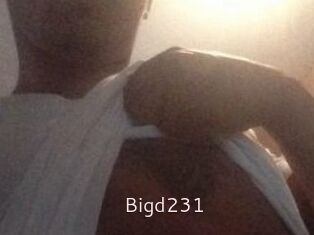 Bigd231