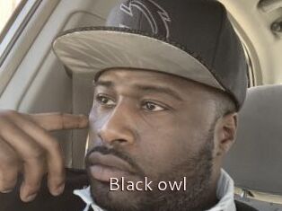 Black_owl