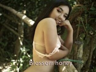 Blossom_honey