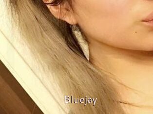 Blue_jay