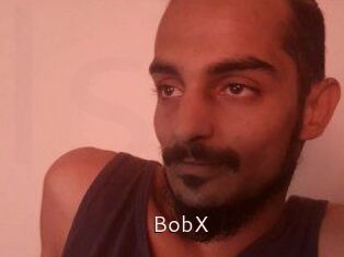 BobX