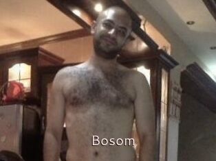 Bosom