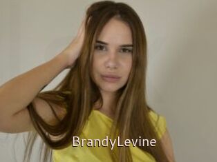 BrandyLevine