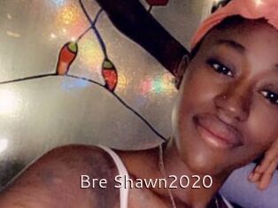 Bre_Shawn2020