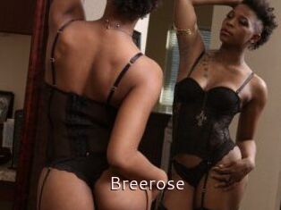 Breerose