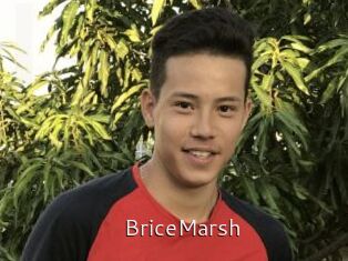 BriceMarsh