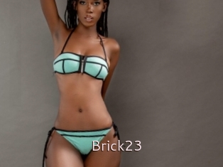 Brick23