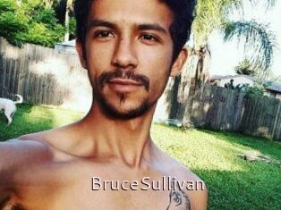 Bruce_Sullivan