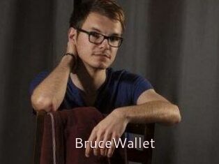 BruceWallet