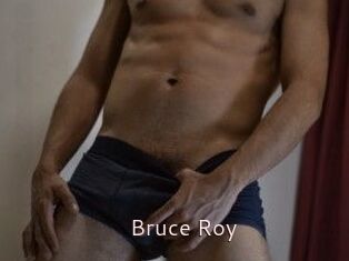 Bruce_Roy