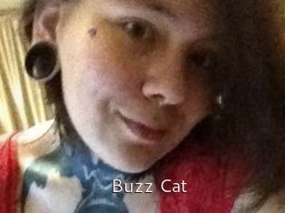 Buzz_Cat