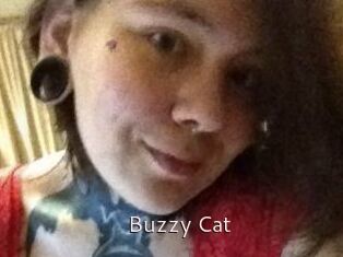 Buzzy_Cat