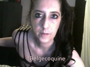 Belgecoquine