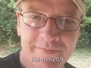 Bidrum209