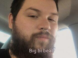 Big_bi_bear