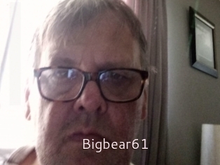 Bigbear61