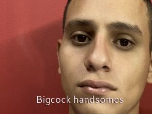 Bigcock_handsomes