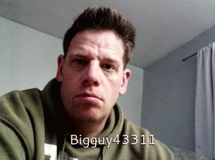 Bigguy43311