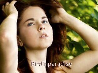 Birdinparadise