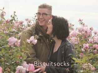 Biscuitsocks