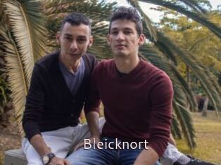 Bleicknort